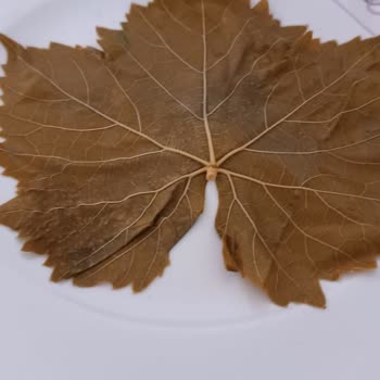 Tarım Bahçem Kart Salamura Yaprak