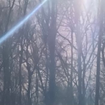 iPhone 12 Kamera Sorunu