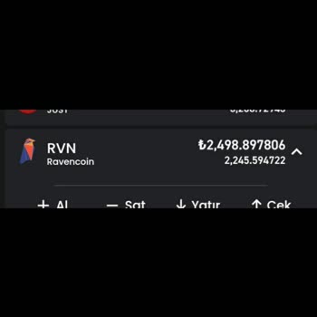 Bitay Kurumu ( Rvn ) Coin Satış Sorununa Çözüm Bulması
