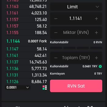 Bitay Kurumu ( Rvn ) Coin Satış Sorununa Çözüm Bulması