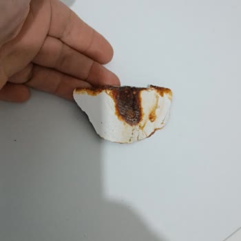 Altus Tan Şikayetçiyim. Bir Utanmadan Arçelik Markası Olacaklar