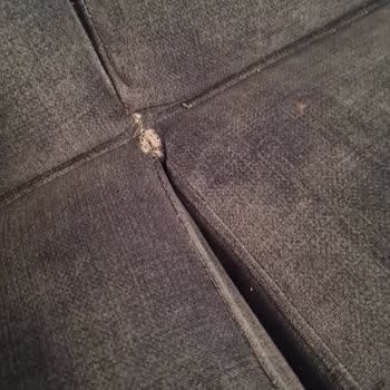 Bellona Bir Servis Pişmanlığıdır