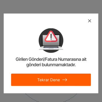 MNG Kargo Takip Kod Sorunu