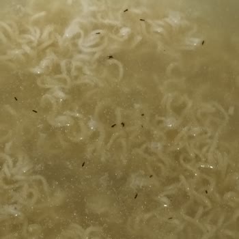 indomie İçinden Çıkan Böcekler Karsısında Sok Durumdayım
