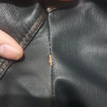 Derimod Deri Mont Değişim Yapmıyor. Ürününe Sahip Çıkmıyor.