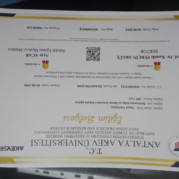 Antalya Akev Üniversitesi Belgelerimi E-devlet Göremiyorum Ne Yapmalıyım