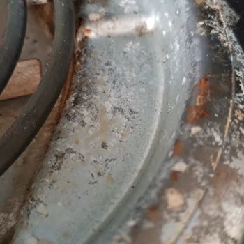 Onvo Air Fryer'ım Küflendi, Firma İlgisiz!