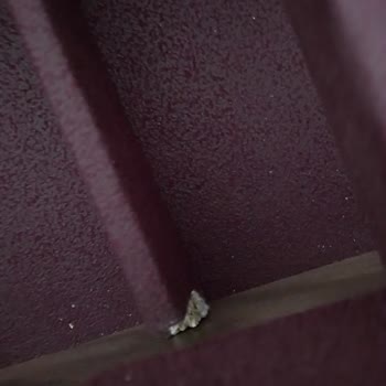 Mondihome Kaç Aydır Bizi Oyalıyor