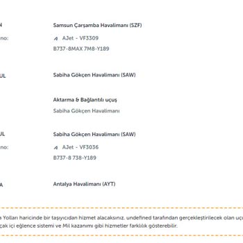 THY AJet'e Aktarılamayan Biletlerden Dolayı Yaşanılan Mağduriyet