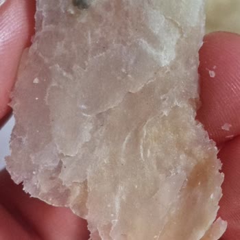 Kalite Kontrol Eksikliği: BİM'de Küflü Milföy Hayal Kırıklığı