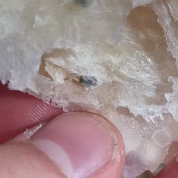 Kalite Kontrol Eksikliği: BİM'de Küflü Milföy Hayal Kırıklığı