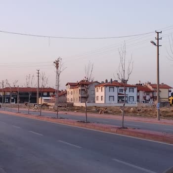 Meram Belediyesi Konya Meram Alakova Mh Başıboş Köpeklerin Toplanmasını Rica Ediyoruz