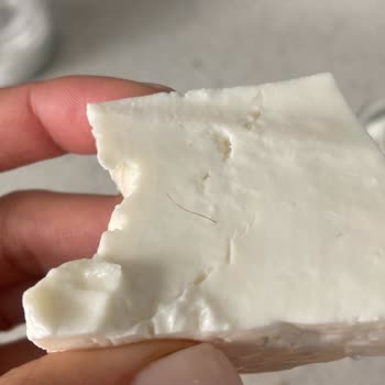 A1010 Ahir Taze Peynir Kıl Çıktı