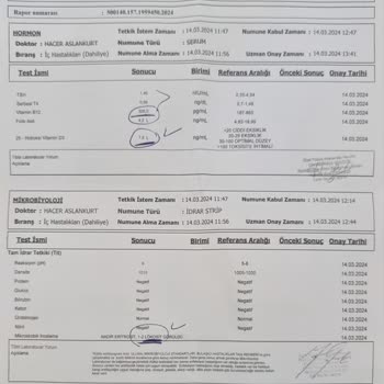 Anadolu Jet Ve Turkish Airlines Uçuşunda Başıma Gelenler