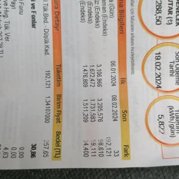 Enerjisa Başkent Satışın Tutarsız Elektrik Faturası