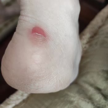 Elle Ayakkabı Elle Ürüne Sahip Çıkmıyor