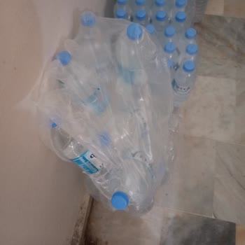 Gecek Su Su Kolileri Hakkında