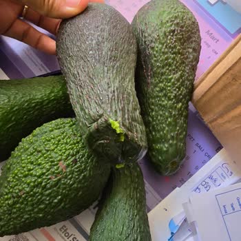 Tropikal Antalya Şikayetçiyim