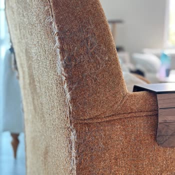 Doğtaş Mobilya Evcil Hayvan Dostu Diye Sattığı Ürünler Yıprandı