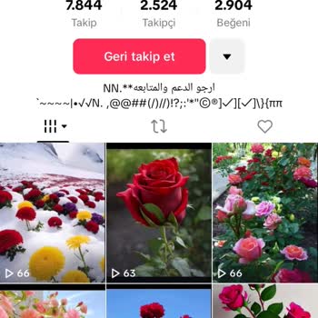 TikTok Reklam Sonuçları Bot Hesap Etkileşimi
