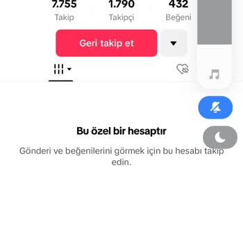 TikTok Reklam Sonuçları Bot Hesap Etkileşimi