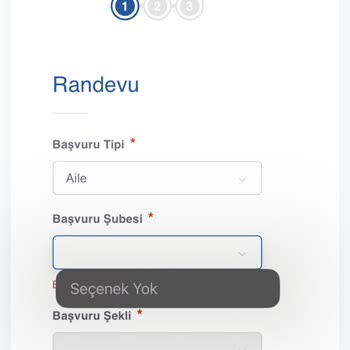 Kosmos Vize Hizmetleri Şirketinin Yetersiz Hizmeti Ve Çektiğimiz Çile