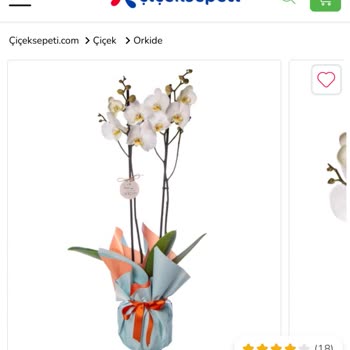 Çiçek Sepeti Pişmanlıktır.