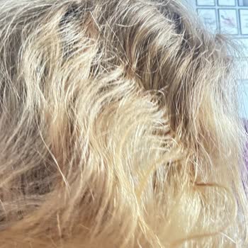 Şevval Erkin Hair & Beauty Center Güzellik Merkezinde Yaşanan Saç Boyama Problemi