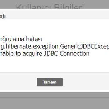 İnteraktif Vergi Dairesi E-arşiv Doğrulama Hatası!
