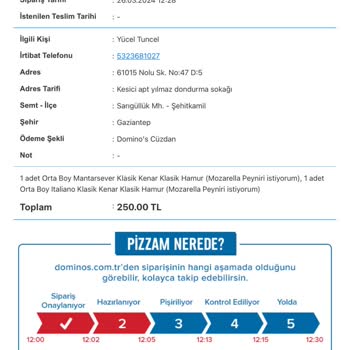 Domino's Pizza Uygulama Hatası Ve 30 Dakika Sorunu