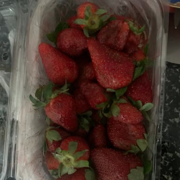 Şok Market Rezil Yine