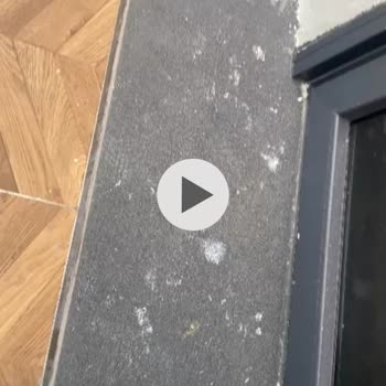 Royal Gold Temizlik Hizmetleri Memnun Kalmadık