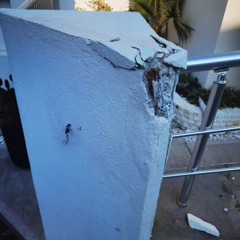 Bodrum Belediyesi Çöp Kamyonunun Verdiği Zararı Gidersin...