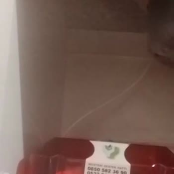 Yeşil Su Arıtma Garantili Ürünü Değiştirmiyor Engelli Kayınçom Mağdur