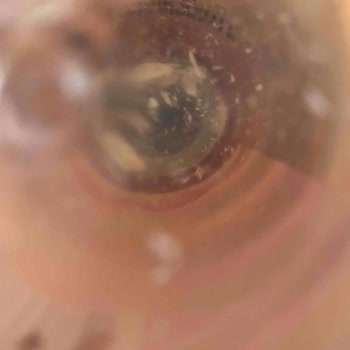 Watsons Ashley Joy Toniğin İçerisindeki Partiküller