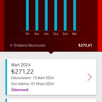 Vodafone İnternet Bağlantı Sorunları Ve Müşteri Hizmetleri Tepkisi