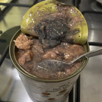 İlkeral Gıda (Pati Life) Yaş Mama Patilife