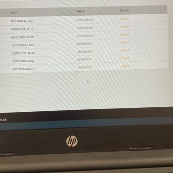Holiganbet Umursamazlığı, Lütfen İlgilenin. 10 Defa Vip Destek Aradım.