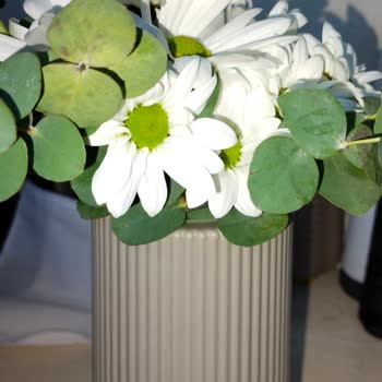 ÇiçekSepeti Görselden Farklı Çiçek