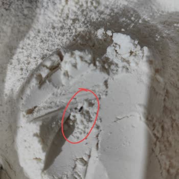 Carrefour Markalı Ürünlerde Haşere Şoku Ve Müşteri Hizmetleri Sessizliği