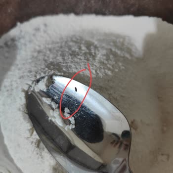 Carrefour Markalı Ürünlerde Haşere Şoku Ve Müşteri Hizmetleri Sessizliği