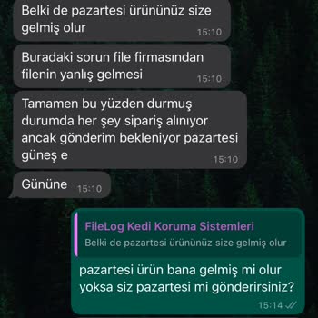 Filelog Kedi Filesi Ürün Teslimatında Yaşanan Gecikme Ve İletişim Sorunları