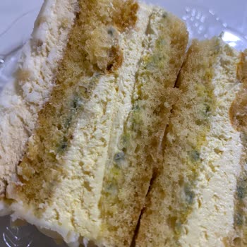 Mado Küflü Ve Kötü Kokulu Pasta