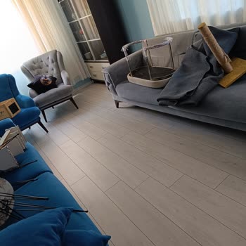 Ecovacs Deebot T9 Haritalandırma Yapamıyor.