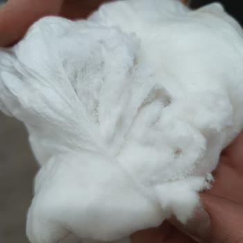 Baby Turco Bezin İçinde Pütür Pütür Bir Şeyler Var