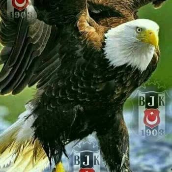 E-Devlet (Turkiye.gov.tr) Kimlik Başvurusunda Bulunamıyorum