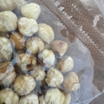 Toprak Mahsulleri Ofisi (TMO) Bayta Ve Nemlenmiş