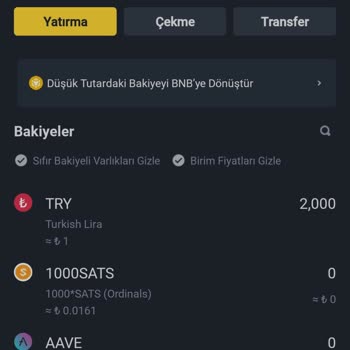 Binance TR 2000₺ Yatırdım Kullanamıyorum 2. Seviye Doğrulama Sorunu