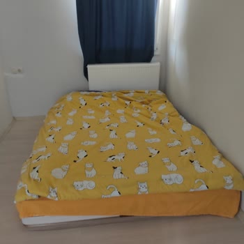 Eki aç