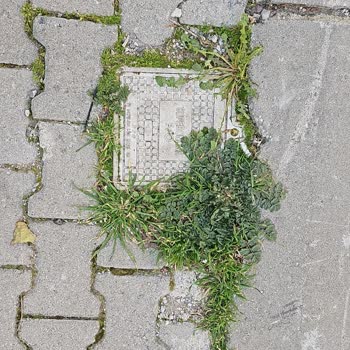 Superonline Kapımın Önünde Fiber Alt Yapi Var Ama Binama Ankastre Takılmıyor